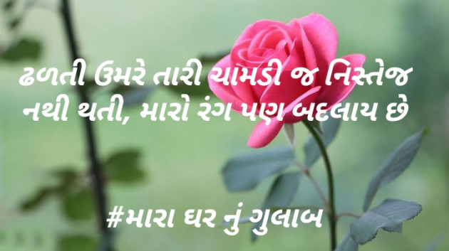 Gujarati Thought by Harshu Parmar : 111291737