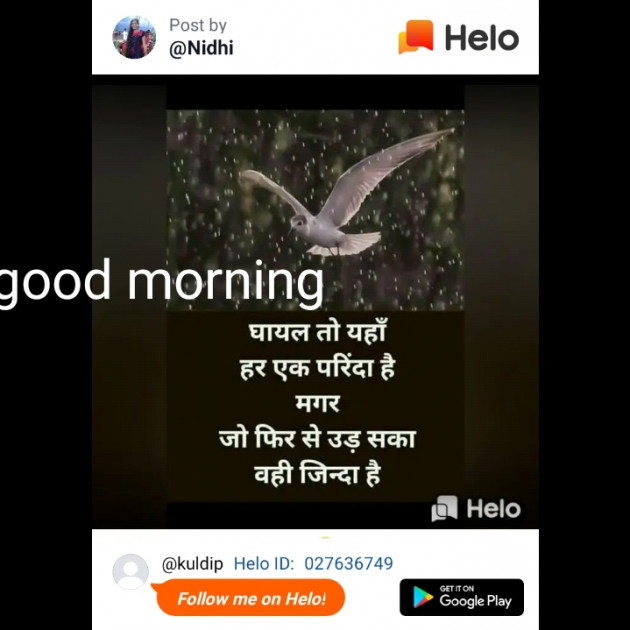 English Good Morning by Kuldip : 111291909