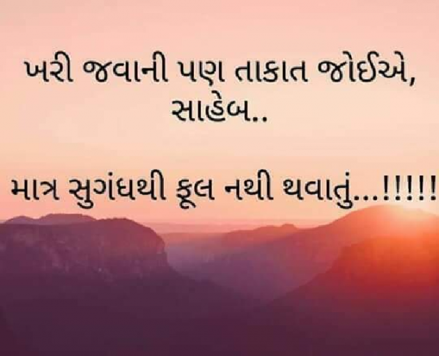 Gujarati Shayri by Viralee : 111292225