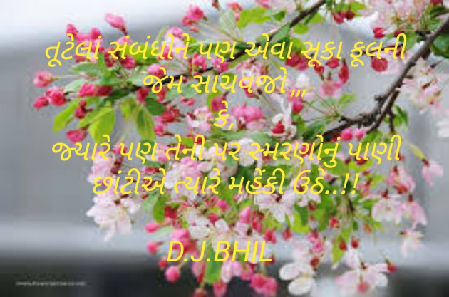 Gujarati Shayri by Dinesh Bhil : 111292553