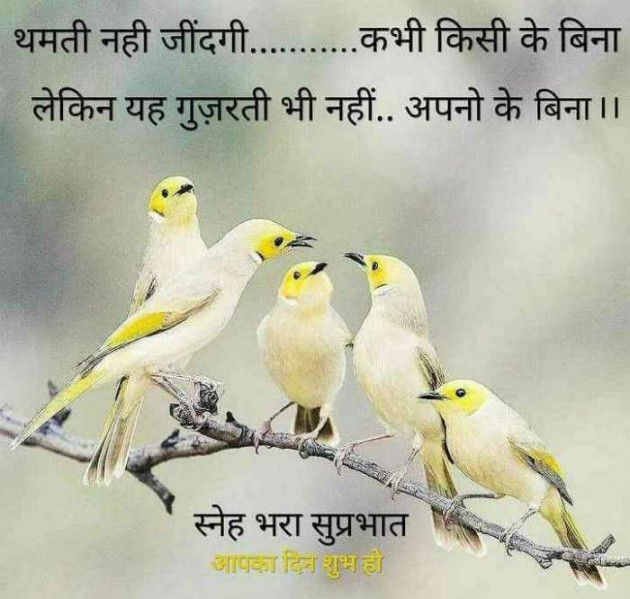 Gujarati Motivational by V,Gujjar : 111292589