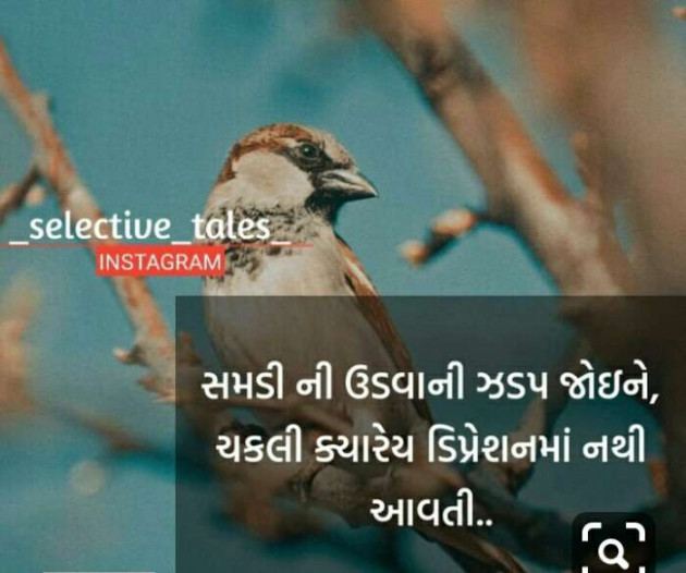 Gujarati Motivational by Jasmin Mistry Jasmin Mistry : 111292833