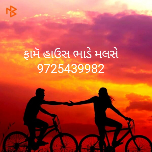 Gujarati News by Rakesh Hirapara : 111292890