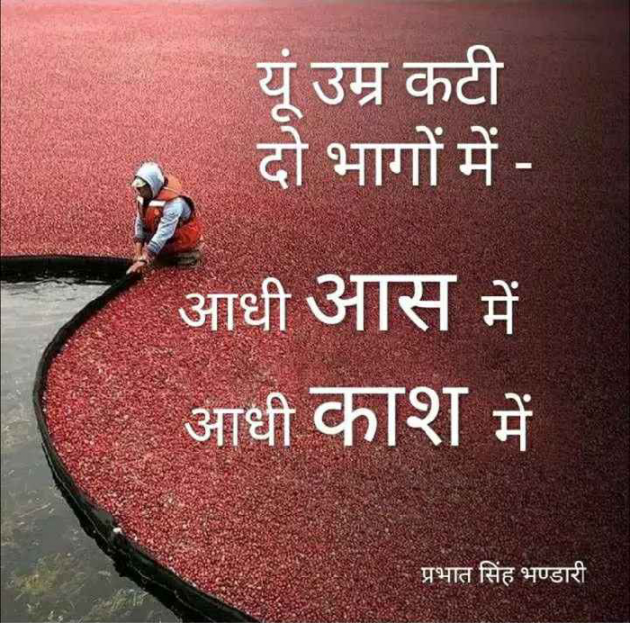 English Quotes by Dhaval Patel : 111292983