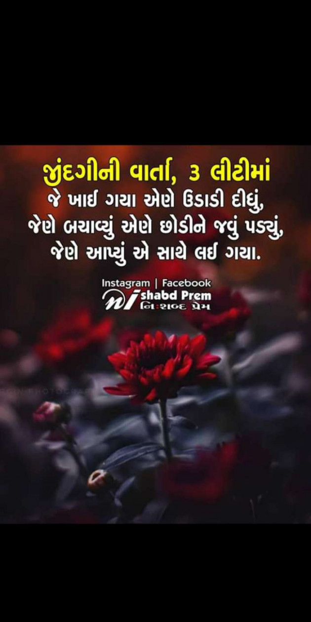 Gujarati Thought by Heema Joshi : 111293085