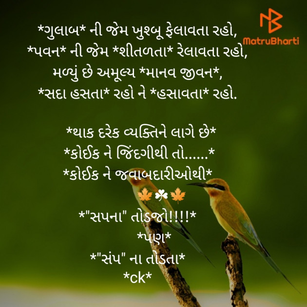 Gujarati Whatsapp-Status by Chetan Gadhavi : 111293215