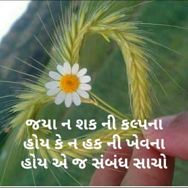 Gujarati Thought by Monika Chavda : 111295561