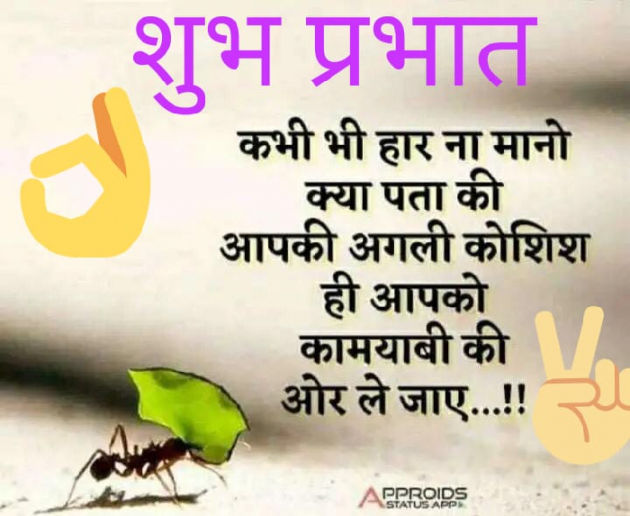 English Good Morning by બદનામ રાજા : 111295800