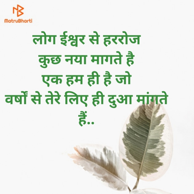 Hindi Blog by મંજય : 111296146