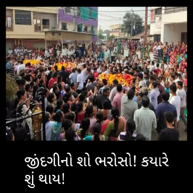 Gujarati News by Harshad Patel : 111296513