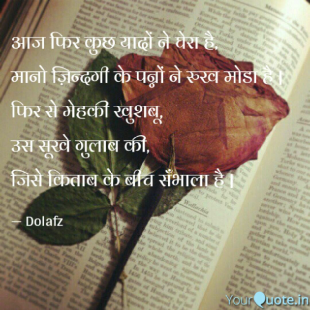 Hindi Shayri by Munira Fozdar : 111296636