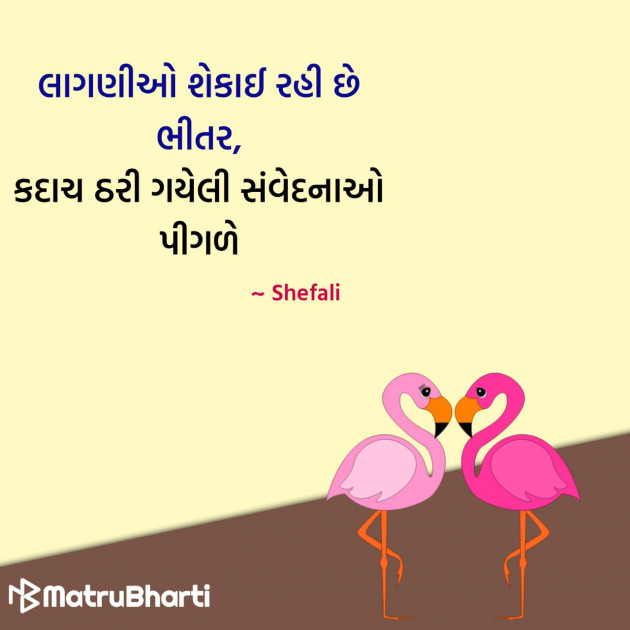 Gujarati Quotes by Hu Gujarati : 111296807