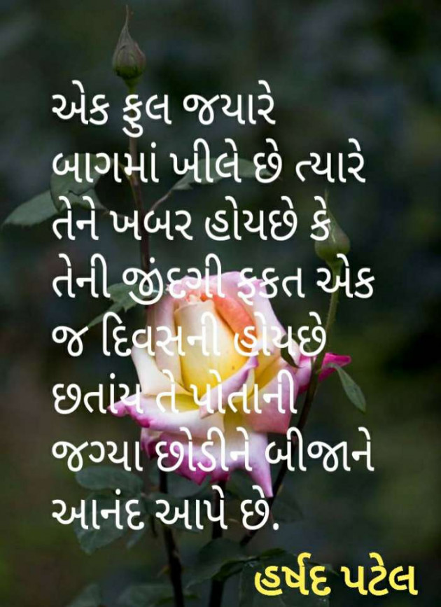 Gujarati Good Evening by Harshad Patel Pij : 111296870