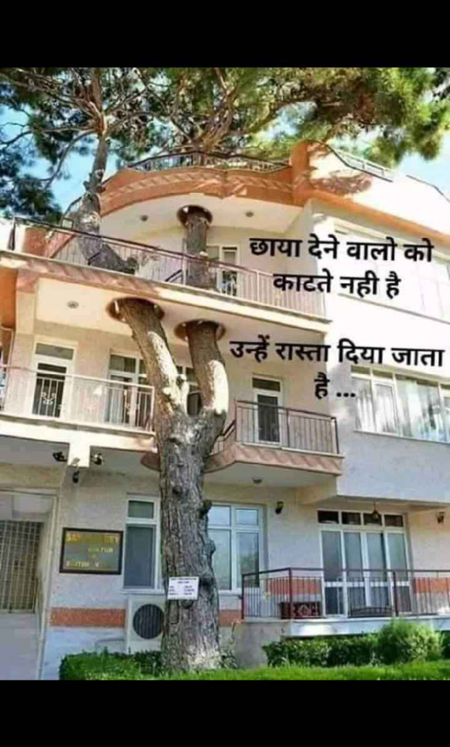 English Quotes by Dhaval Patel : 111298013