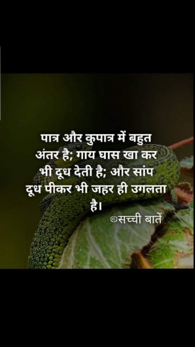 English Quotes by Yogi Forever : 111298094