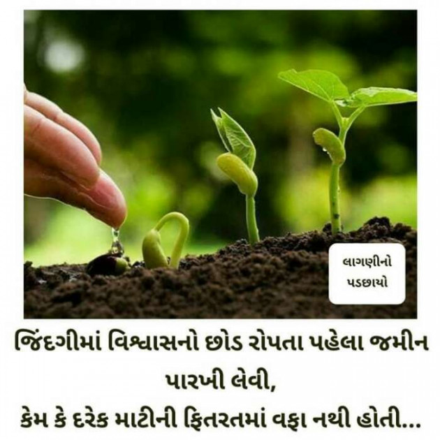 Gujarati Good Night by Preyanshi Virag Shah : 111298214