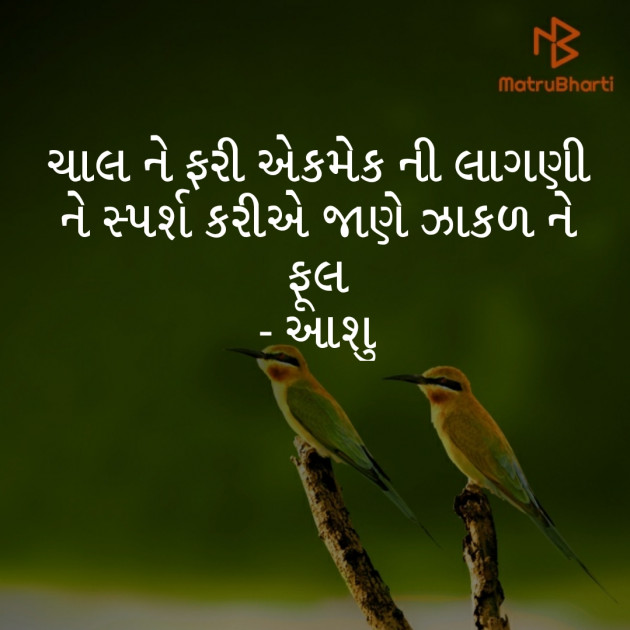 Gujarati Shayri by Ashwin : 111298258