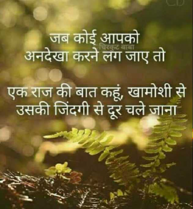 English Quotes by Dhaval Patel : 111298706