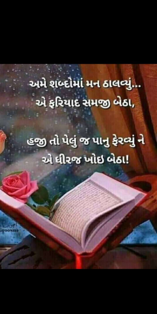 Gujarati Thought by Heema Joshi : 111298874