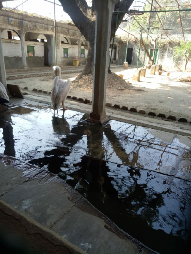 Hindi Blog by Neha : 111299693