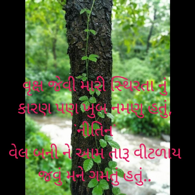 Gujarati Blog by Nitin S Patel : 111300985