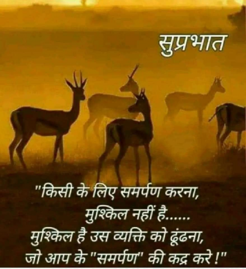 Post by Mehta on 06-Dec-2019 08:20am