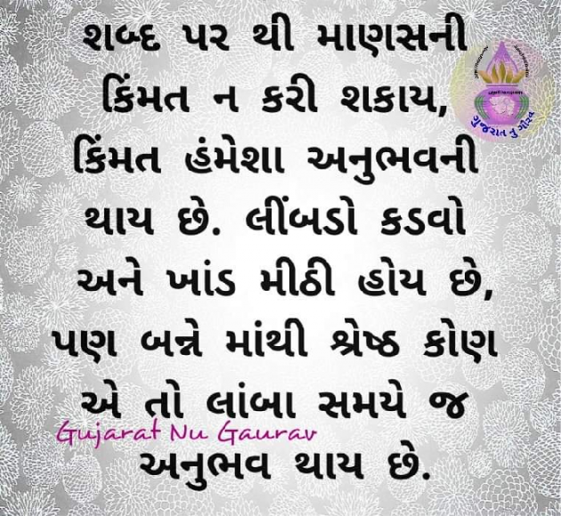 Gujarati Thought by Sikander Khan : 111301405