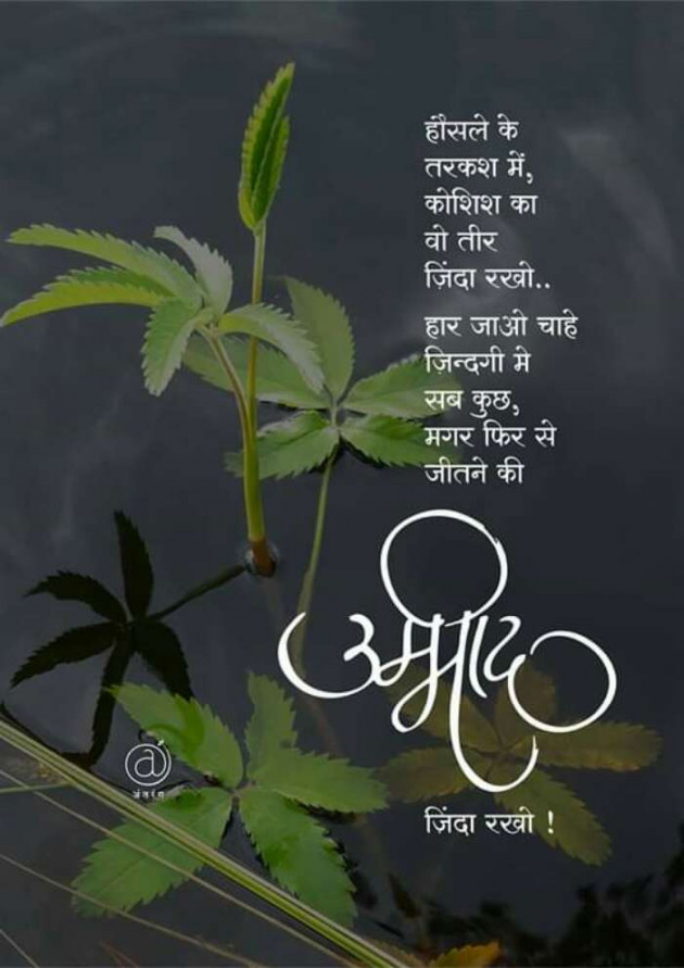 Hindi Motivational by Vishal : 111302275