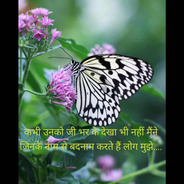 Hindi Blog by Jignesh Vsv : 111302321