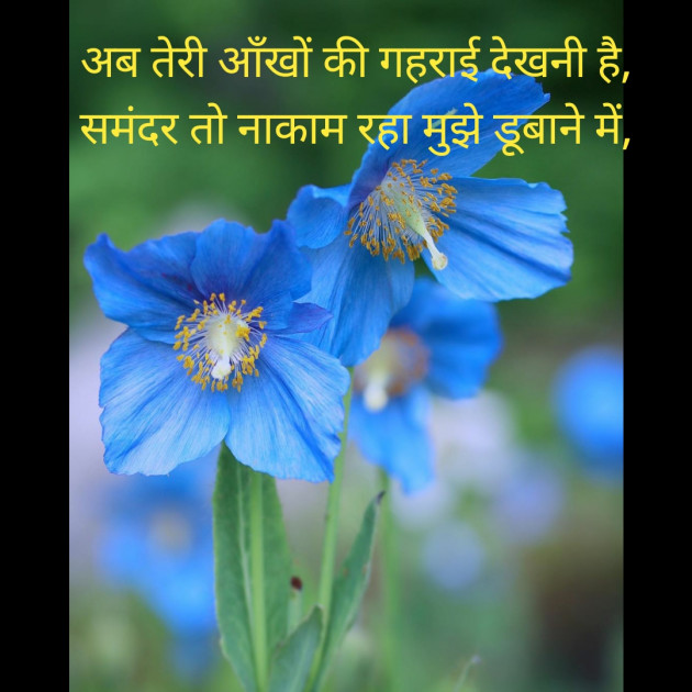 Hindi Thought by Jignesh Vsv : 111303019