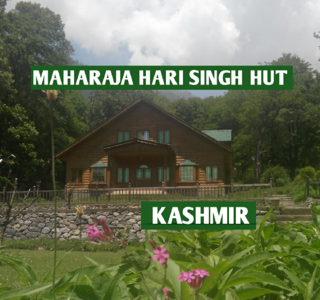 Hindi Blog by Jarina : 111303063
