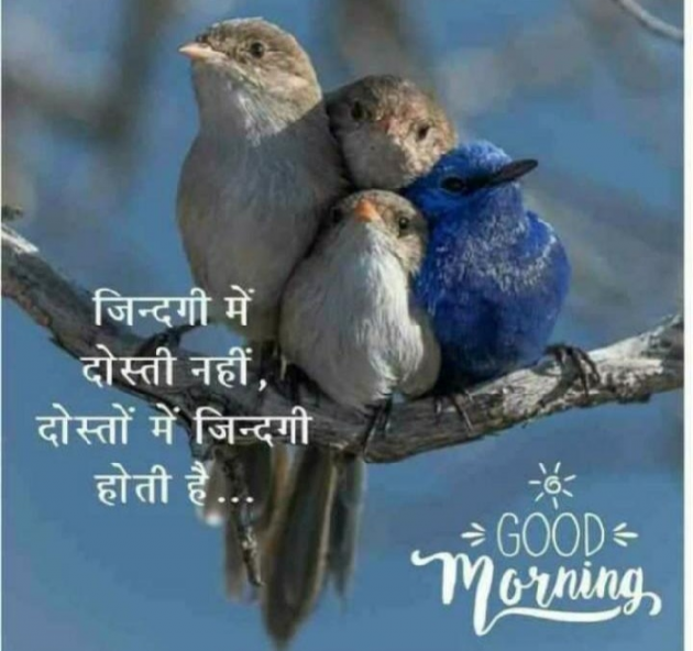 Marathi Good Morning by मच्छिंद्र माळी : 111303429