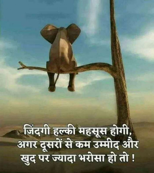 Gujarati Thought by Suresh Tanna : 111303776