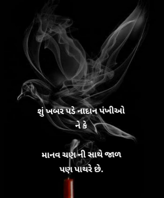 Gujarati Microfiction by Vira : 111303784