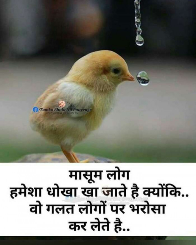Hindi Blog by Devesh Mishra : 111304035