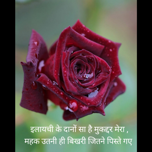 Hindi Thought by Jignesh Vsv : 111304743