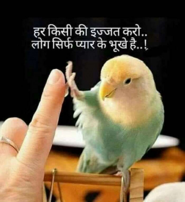 Hindi Blog by Vishal : 111305726