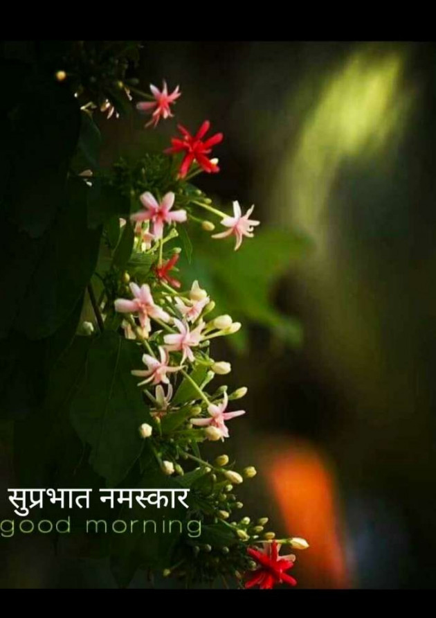 Marathi Good Morning by मच्छिंद्र माळी : 111306887