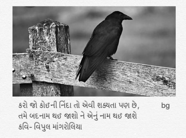 Gujarati Poem by Mickey . : 111307686