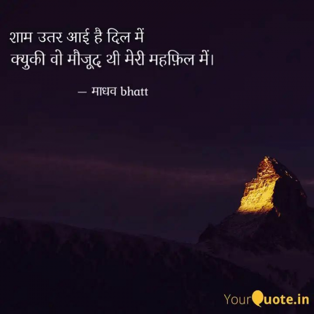 Gujarati Shayri by Madhav : 111308612