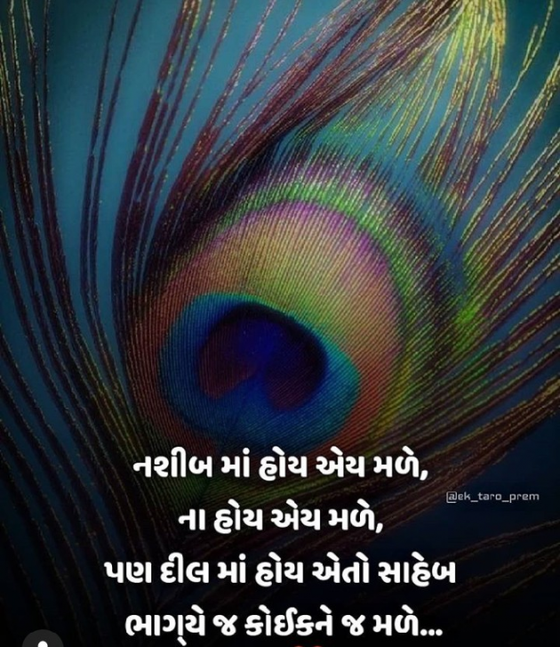 Gujarati Good Evening by Zainab Makda : 111309036