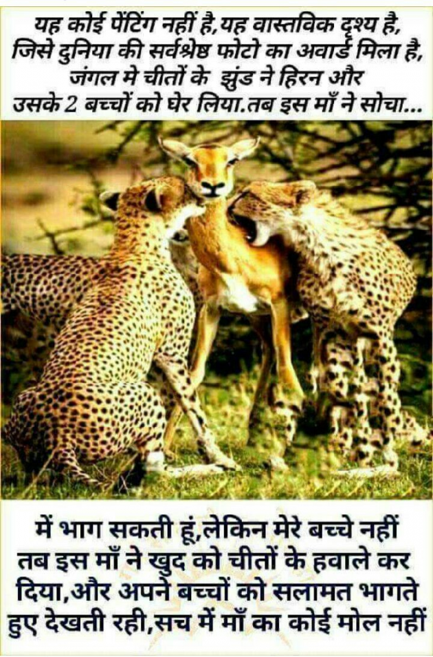 Hindi Blog by some pain : 111312516