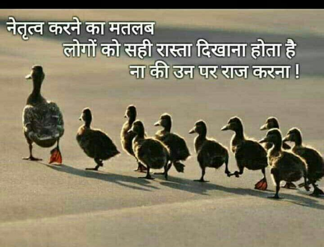 Hindi Blog by some pain : 111315257