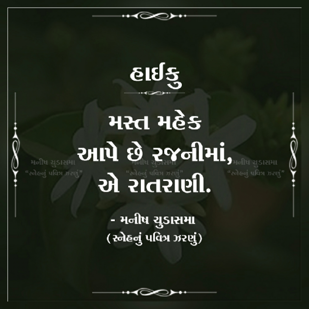 Gujarati Hiku by મનીષ ચુડાસમા ”સ્નેહનું પવિત્ર ઝરણું” : 111316123