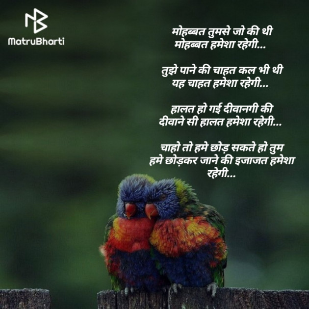 Hindi Blog by Silver Drag : 111317328