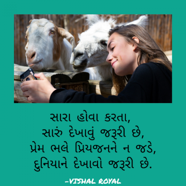 Gujarati Microfiction by Vishal Royal : 111317464