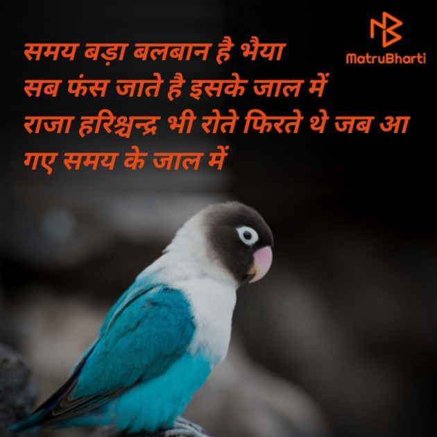 Hindi Quotes by आनन्द राजपूत रुद्र : 111318451