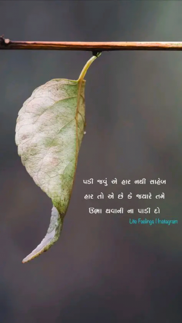 Hindi Motivational by Aarti : 111318714