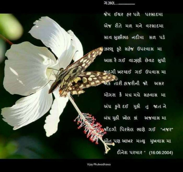 Gujarati Poem by DINESHKUMAR PARMAR NAJAR : 111319498