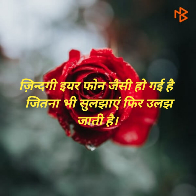 Hindi Whatsapp-Status by krishana vanpariya : 111319928